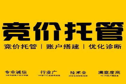 某某企业SEM推广成功案例：打造品牌营销新模式